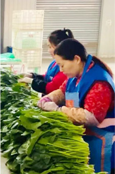 巩义食品加工配送