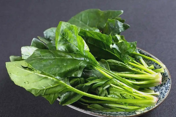 郑州食材配送公司分享菠菜不适合同时食用的食物有哪些？